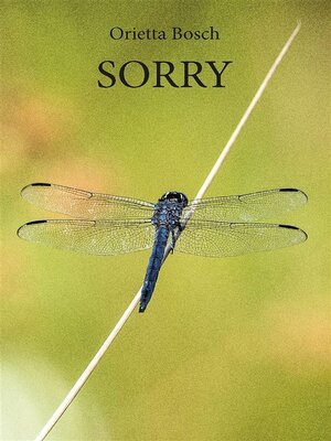 cover image of Sorry